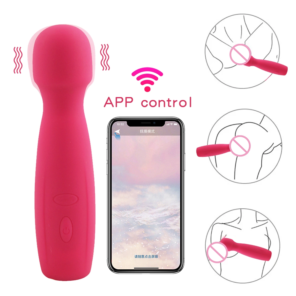 Multi Speed Rechargeable Body Personal Massage Wand Massager Products for Women Sex Toys